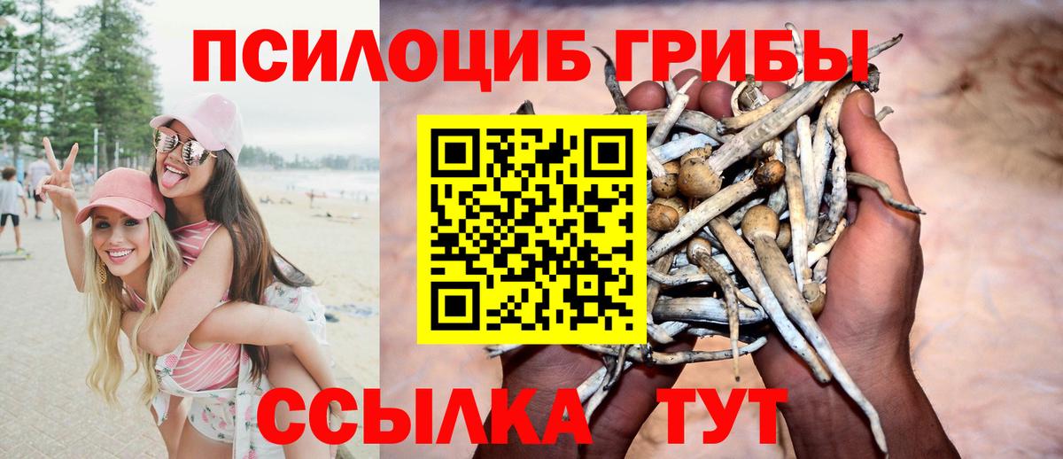 Галлюциногенные грибы прущие грибы  Вход с VPN  Псилоцибиновые грибы ЛСД  сколько стоит  Таганрог 