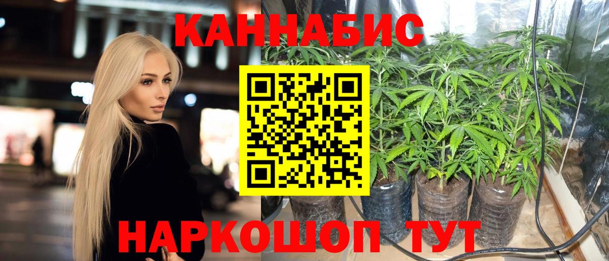 Бошки марихуана White Widow Таганрог